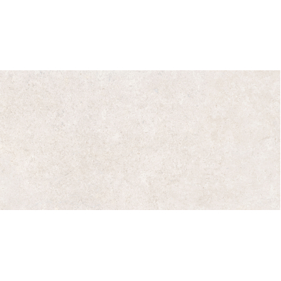 SandStone Белый мат. 60x120 R