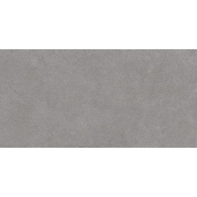 Luna Light Grey LN-02 60x120 R