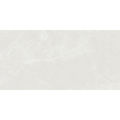 Barroco Light Grey Mat 60x120 R