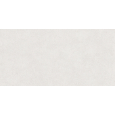 Arena White Mat 60x120 R