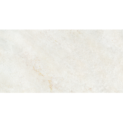 Omega White Mat 60x120 R