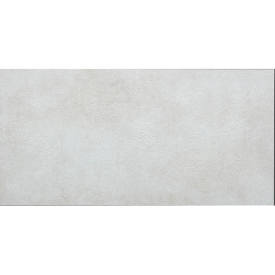 Ales 25 White 60x120 R
