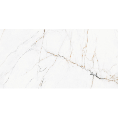 Torano Dorado Pol 60x120 R