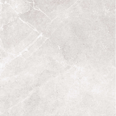 Terra Grey Pol 60x60 R