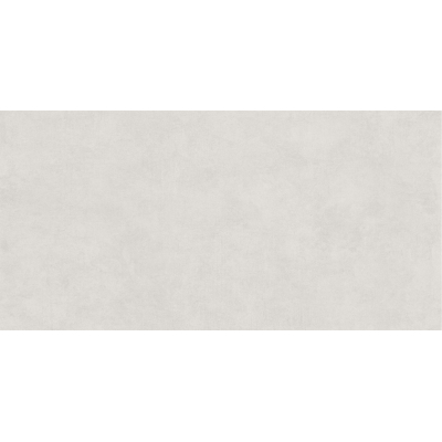 Arena Light Grey Mat 60x120 R
