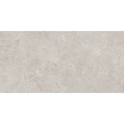 Portland Silver Mat 60x120 R