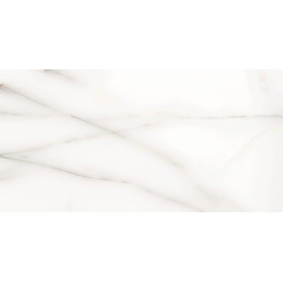 Classic Onix White Pol (G) 60x120 R