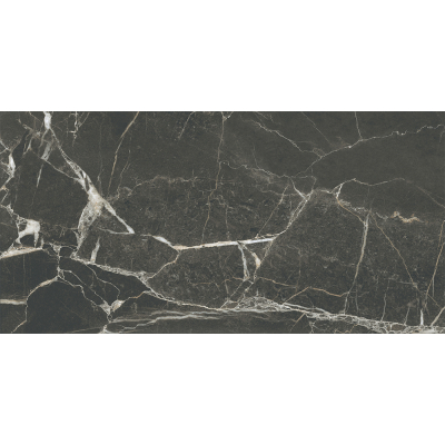 SilkMarble Порто Неро мат. 60x120 R