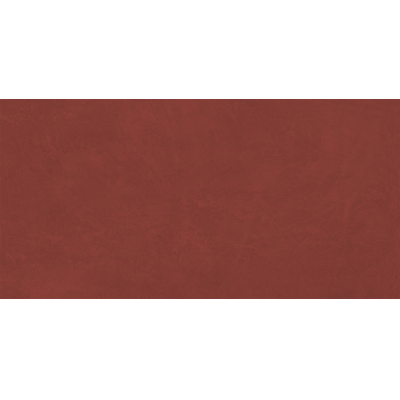 Спектрум Винный Мат. 60x120 SR-10 R