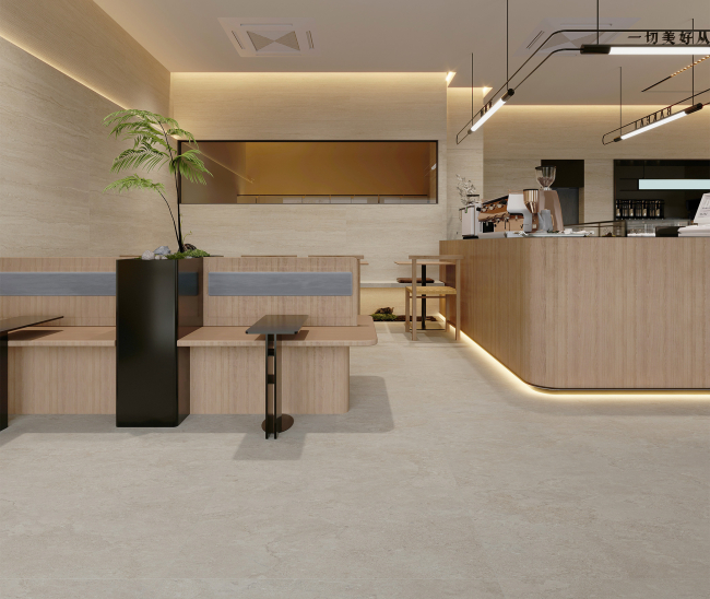 Portland Beige Mat 60x120 R