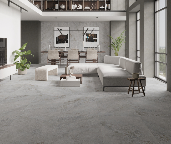 Omega Grey Mat 60x120 R