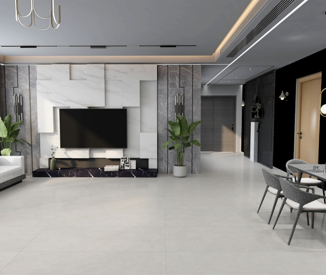 Arena Light Grey Mat 60x120 R