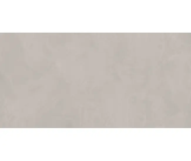 Graffitto Light Grey Mat GF-01 60x120 R
