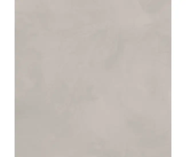 Graffitto Light Grey Mat GF-01 60x60 R