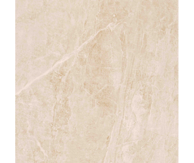 Toledo Dark Mat 60x60 R (DS60922)