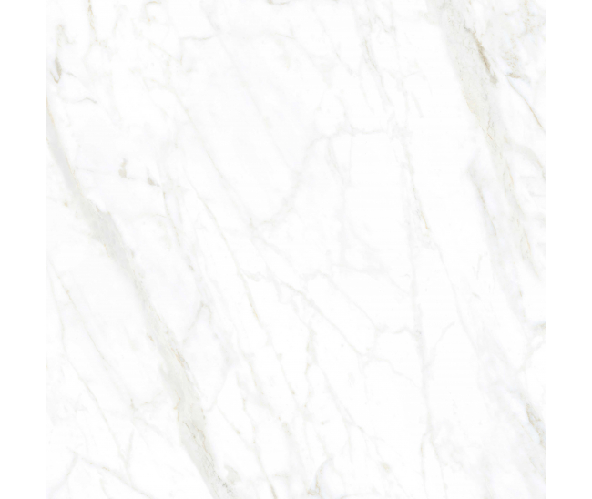 Unique Calacatta S.Mat 120x120 R