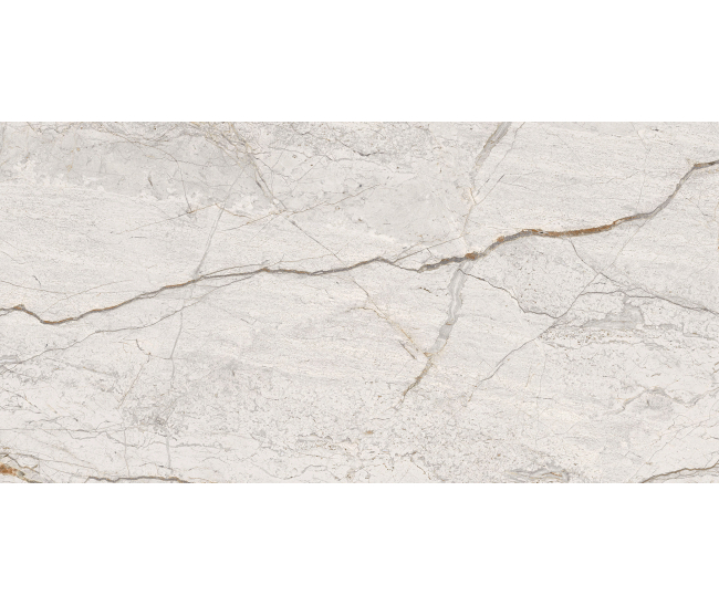 Roma Beige Mat 60x120 R