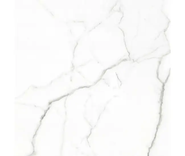 Statuario Marc Pol (G) 120x120 R