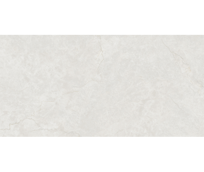 Casablanca Light Grey Mat (CRV) 60x120 R