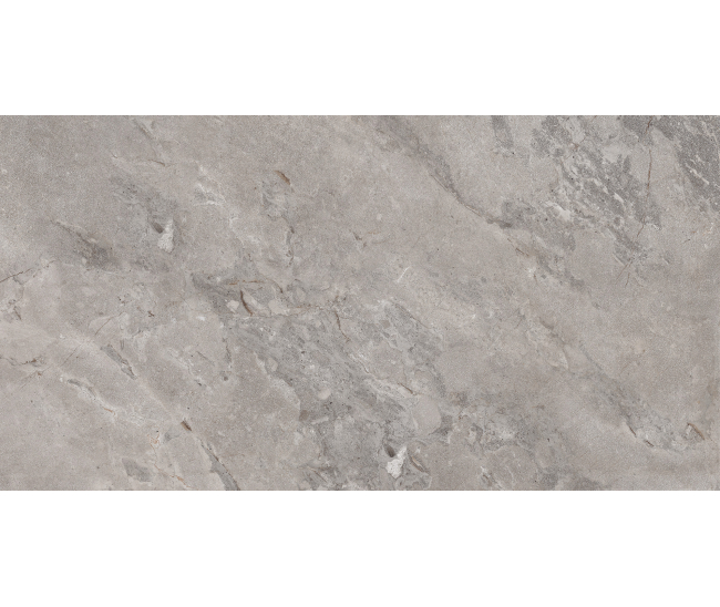 El. Castona Gris Mat (MT) 60x120 R