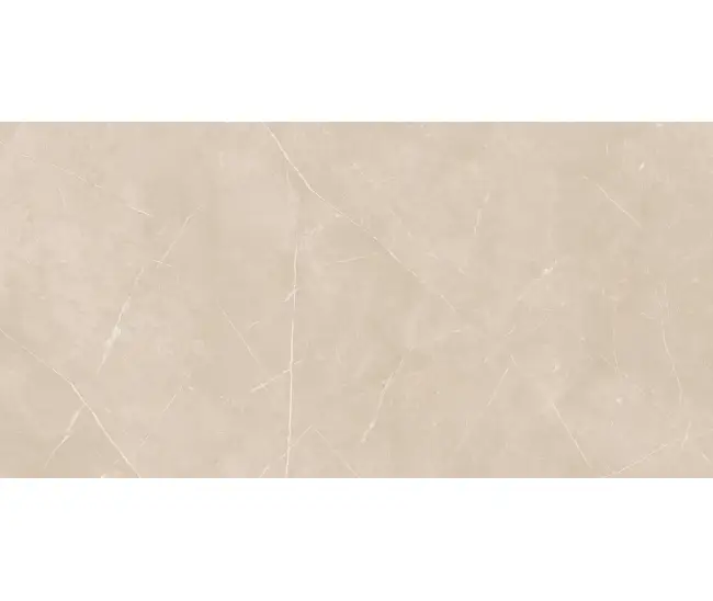 Nolana Beige Mat NL-01 60x120 R