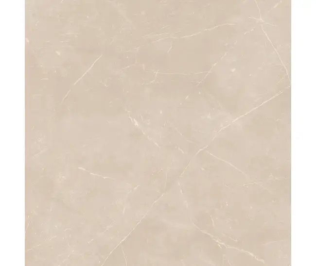 Nolana Beige Mat NL-01 60x60 R