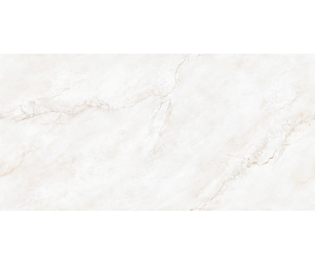Inf. Veino Bone Pol (G) 60x120 R