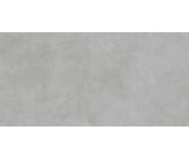 MicroCement Серый мат. 60x120 R