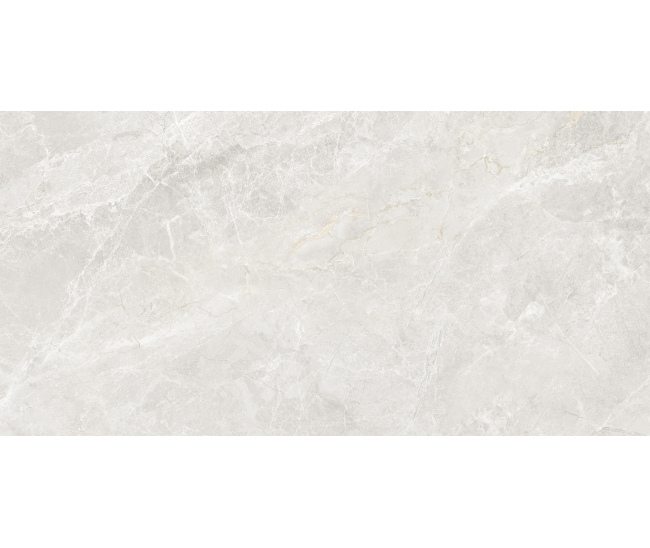 Fresca Light Grey Mat 60x120 R