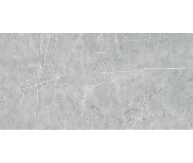 Vision Grey VS-02 60x120 R