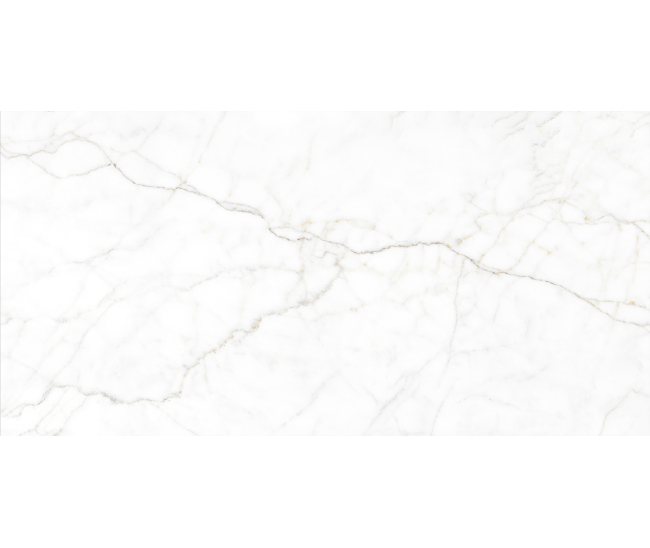 Calati White Mat 60x120 R