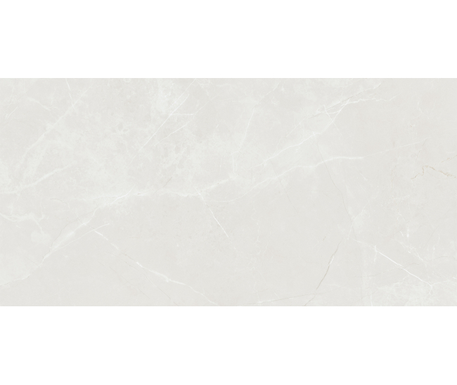 Barroco Light Grey Mat 60x120 R