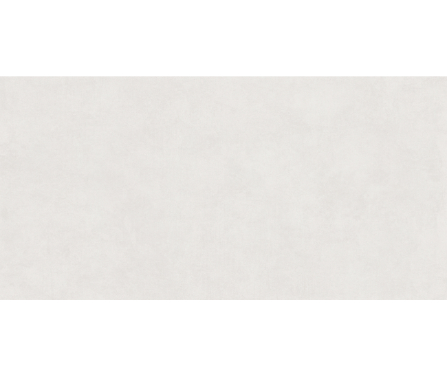 Arena White Mat 60x120 R
