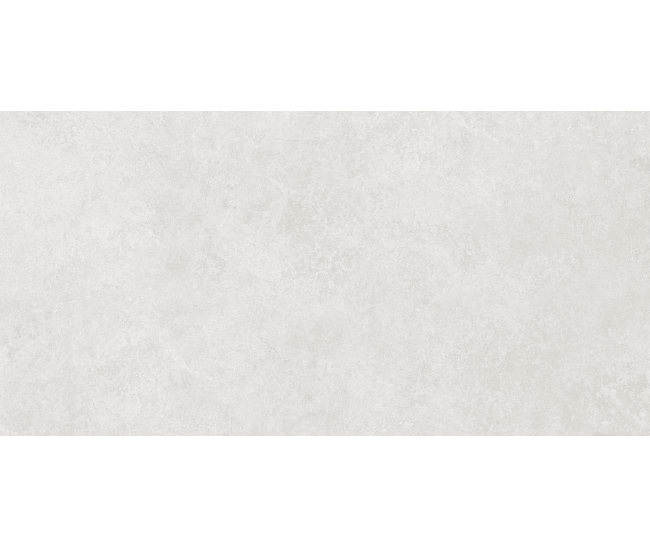 Cemento Light Grey Mat 60x120 R