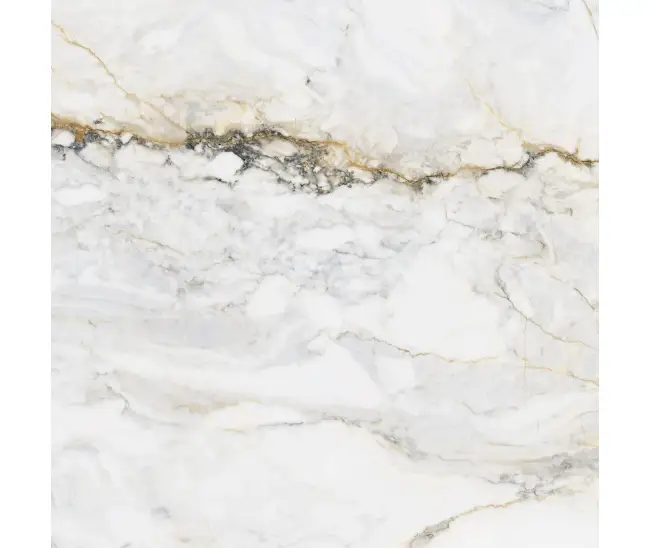 Pisa Gold Pol 60x60 R