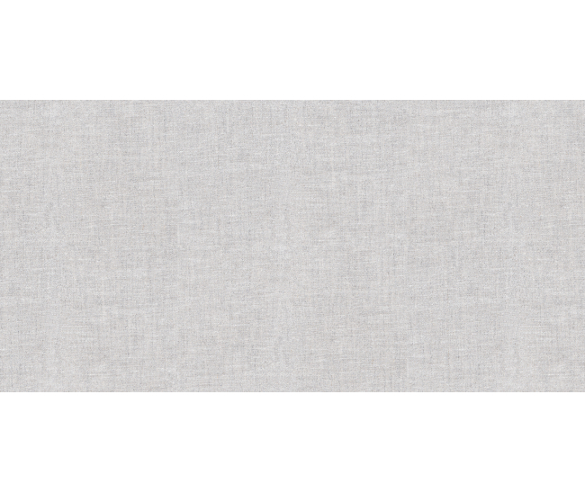 Lino Steel Mat (X.Tech) 59,8x119,8 R