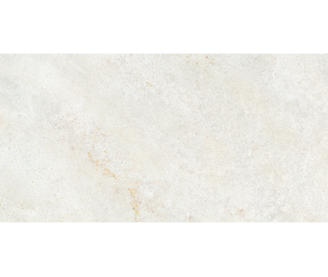 Omega White Mat 60x120 R