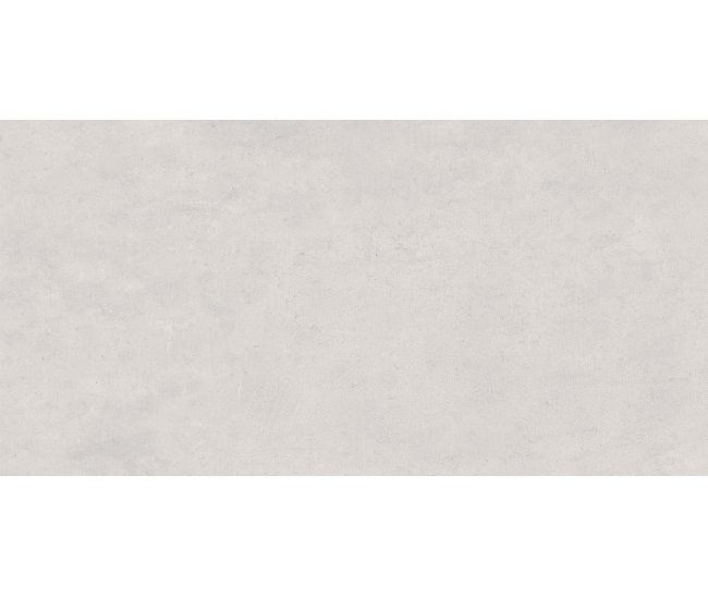 Ashen Grey Mat 60x120 R