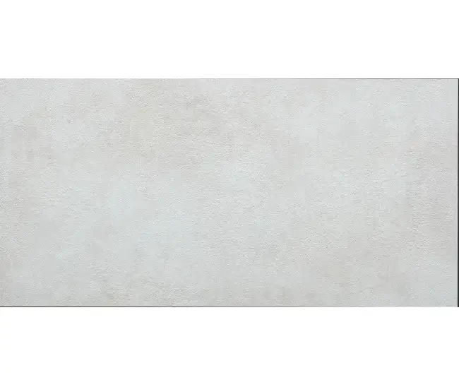 Ales 25 White 60x120 R
