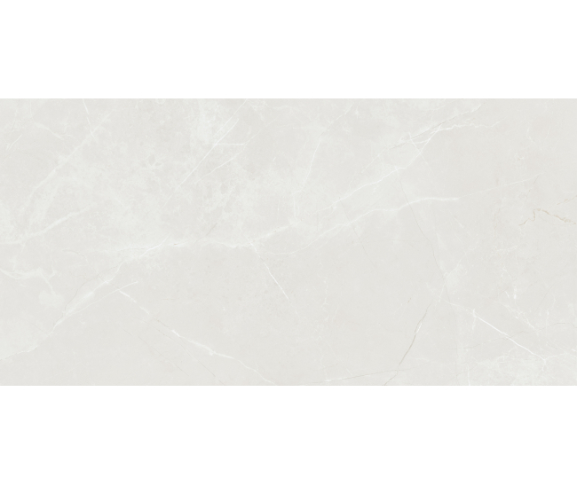 Barroco Light Grey Pol (G) 60x120 R