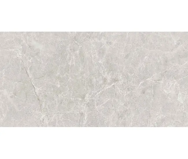 Algario Grey Mat 60x120 R