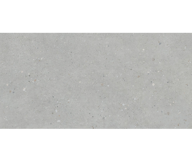FlakeCement Серый мат. 60x120 R