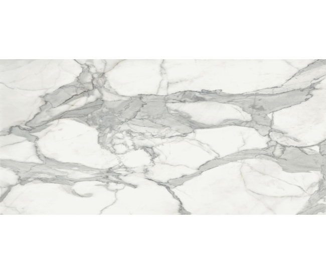 Invictus Pol 120x260 R