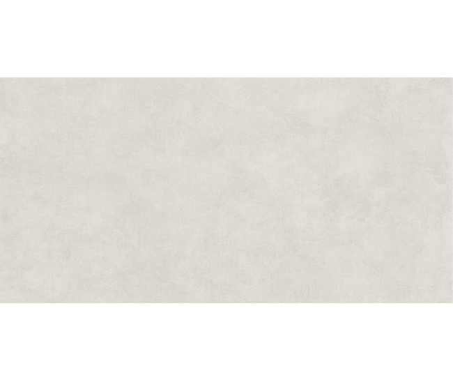 Arena Light Grey Mat 60x120 R