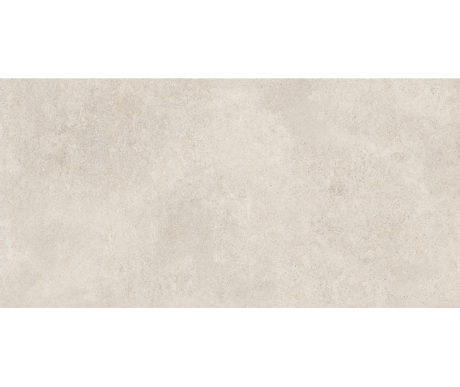 Бейз Сер мат. 60x120 R