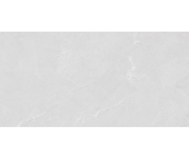 Alfa White Mat 60x120 R