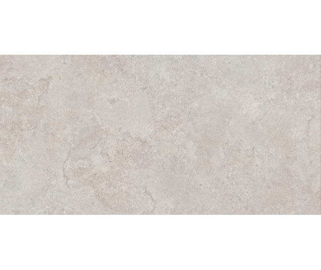 Portland Silver Mat 60x120 R