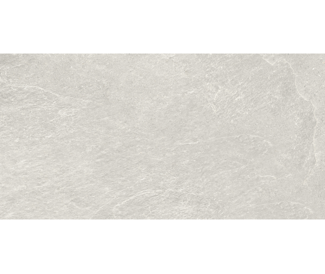 Ardesia Grey Mat 60x120 R