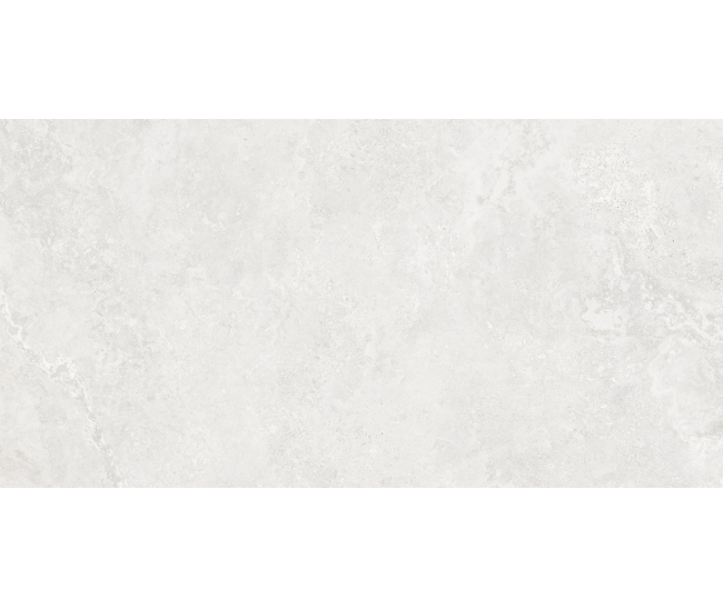 Chateau White Mat 60x120 R