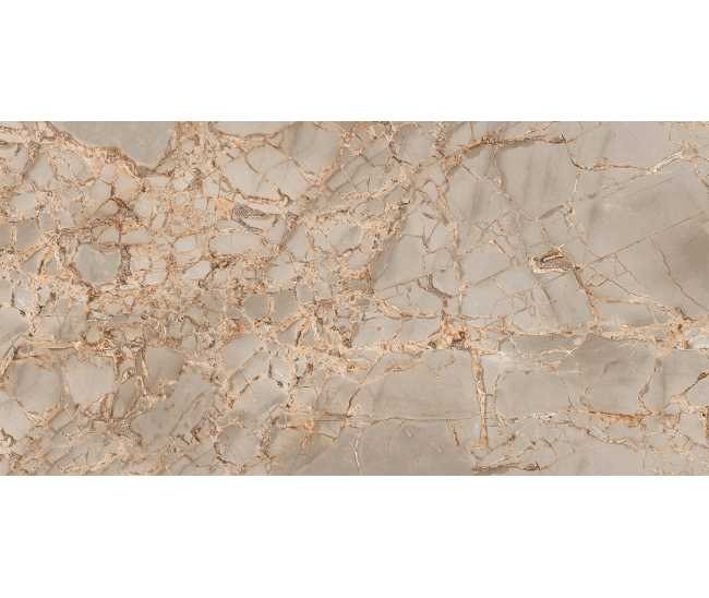 Brag Grey Expo Sugar (CRV) 60x120 R